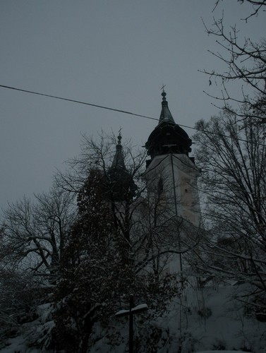 Linz7