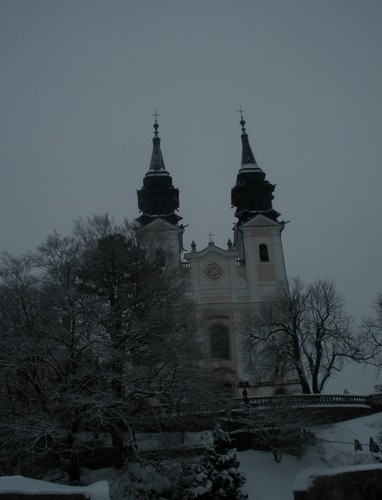 Linz8
