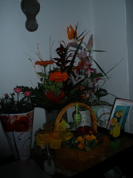 flowers1