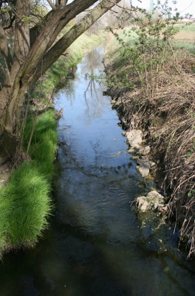 stream