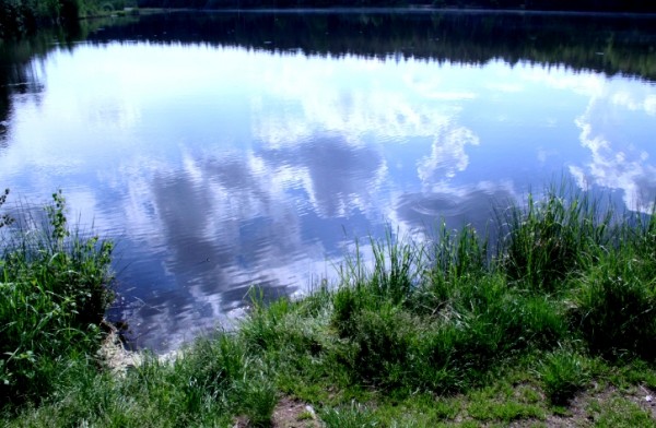water