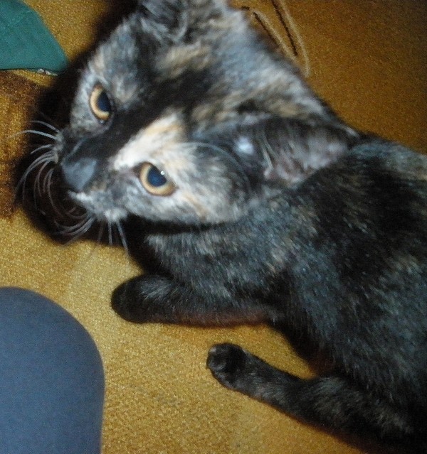 Maggie